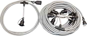 81Dy+dmD39L._AC_UF350,